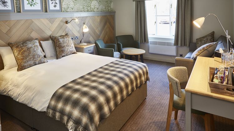 Bluebird Inn Room