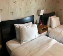 Hotel Mimosa Room