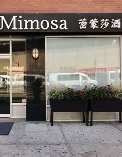 Hotel Mimosa