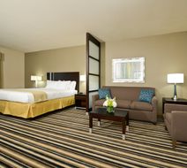 Holiday Inn Express & Suites Forrest Cit Room