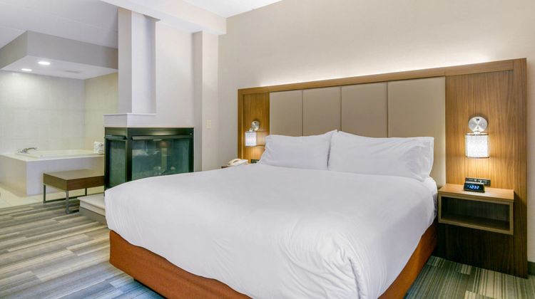 Holiday Inn Express Hotel & Suites Room