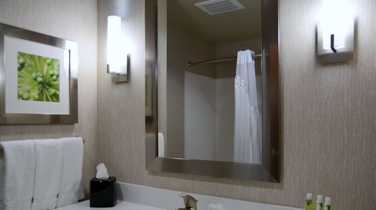 Holiday Inn Express & Suites Houston NW Room