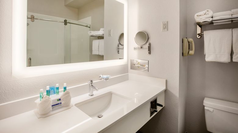 <b>Holiday Inn Express & Suites Dallas Room</b>. Images powered by <a href="https://www.leonardoworldwide.com/" title="Leonardo Worldwide" target="_blank">Leonardo</a>.