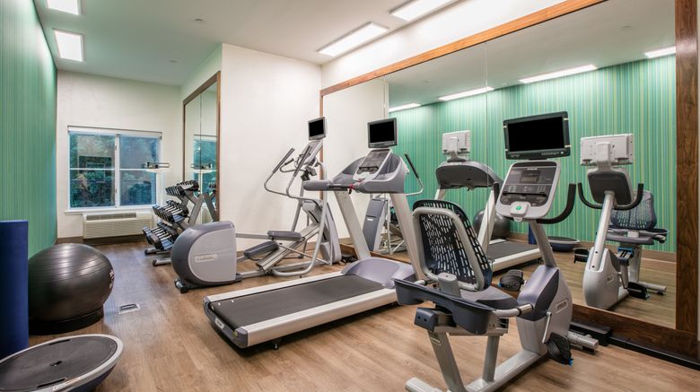<b>Holiday Inn Express & Suites Dallas Health Club</b>. Images powered by <a href="https://www.leonardoworldwide.com/" title="Leonardo Worldwide" target="_blank">Leonardo</a>.