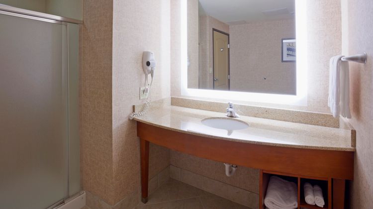 Holiday Inn Hotel & Suites Suite