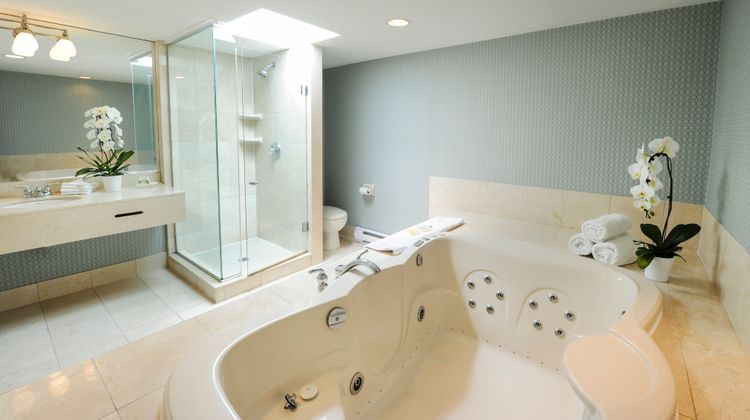 Holiday Inn by The Falls Room