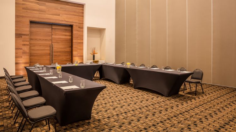 Fiesta Inn Tuxtla Fashion Mall Meeting