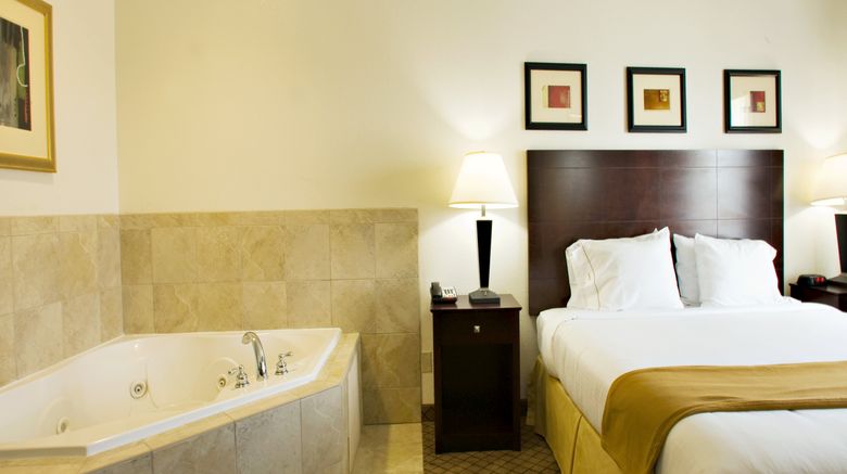 <b>Holiday Inn Express & Suites Childress Room</b>. Images powered by <a href="https://www.leonardoworldwide.com/" title="Leonardo Worldwide" target="_blank">Leonardo</a>.