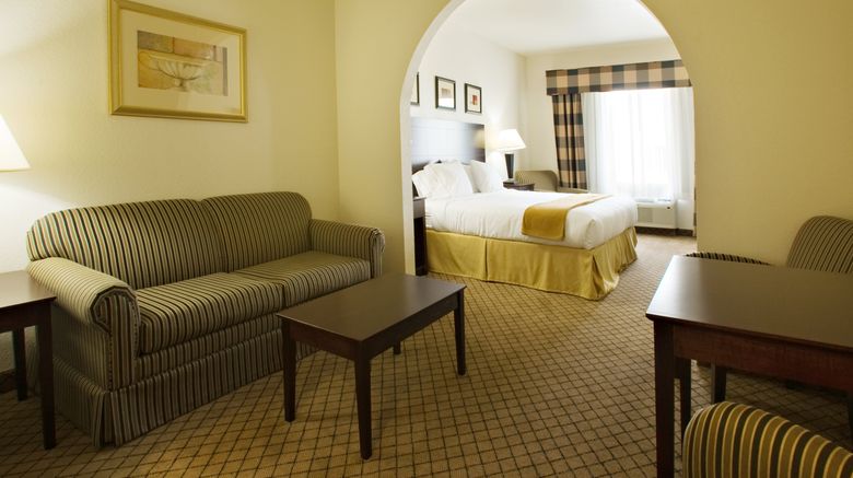 <b>Holiday Inn Express & Suites Childress Suite</b>. Images powered by <a href="https://www.leonardoworldwide.com/" title="Leonardo Worldwide" target="_blank">Leonardo</a>.
