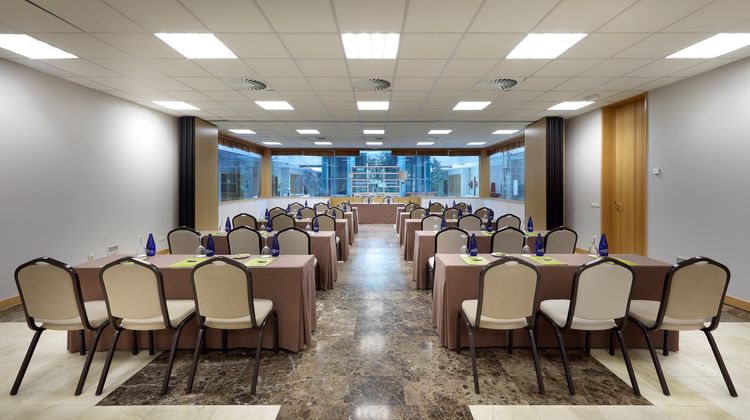 Exe Gran Hotel Almenar Meeting