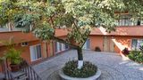 <b>Gamma Cuernavaca Puerta Paraiso Lobby</b>. Images powered by <a href="https://www.leonardoworldwide.com/" title="Leonardo Worldwide" target="_blank">Leonardo</a>.
