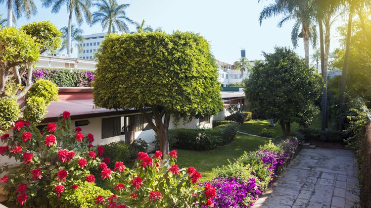 Gamma Cuernavaca Puerta Paraiso Exterior