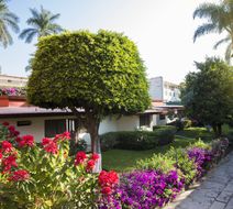 Gamma Cuernavaca Puerta Paraiso Exterior