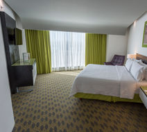 Holiday Inn Queretaro Zona Krystal Room