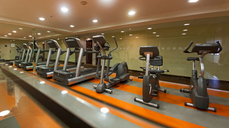<b>Holiday Inn Mexico City-PlazaUniversidad Health Club</b>. Images powered by <a href="https://www.leonardoworldwide.com/" title="Leonardo Worldwide" target="_blank">Leonardo</a>.
