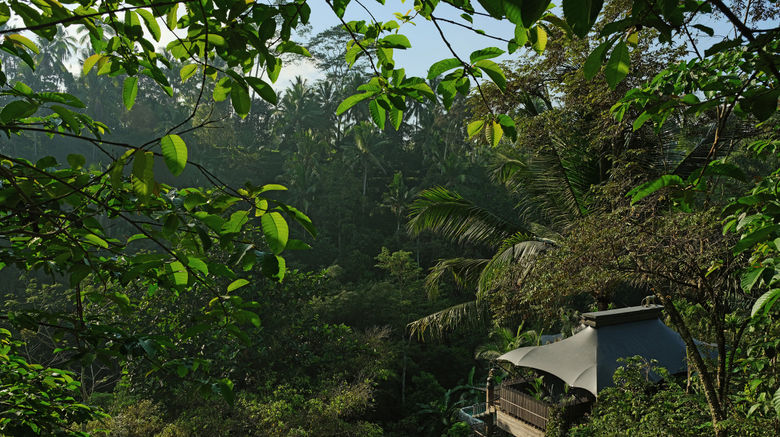 <b>Capella Ubud, Bali Exterior</b>. Images powered by <a href=https://www.travelagewest.com/Hotels/Ubud-Indonesia/