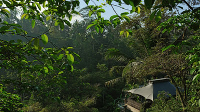 Capella Ubud, Bali