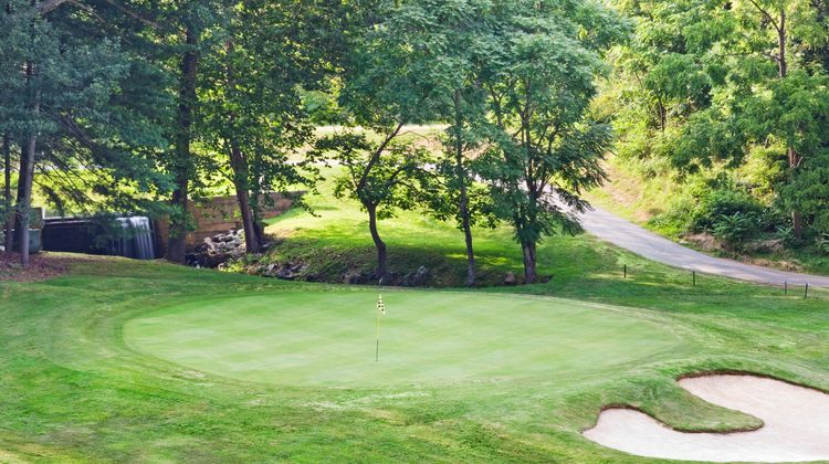 Crowne Plaza Resort Asheville Golf