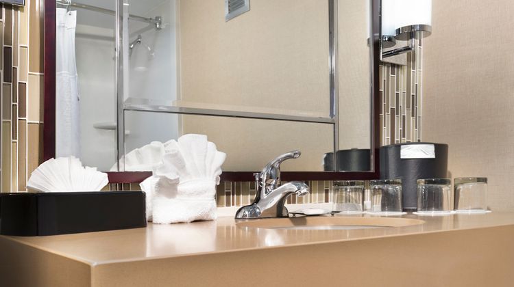 Crowne Plaza Resort Asheville Room