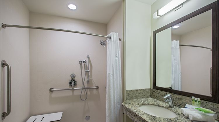 Holiday Inn Express Hotel & Suites Room