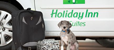 Holiday Inn Hotel & Suites Airport Exterior