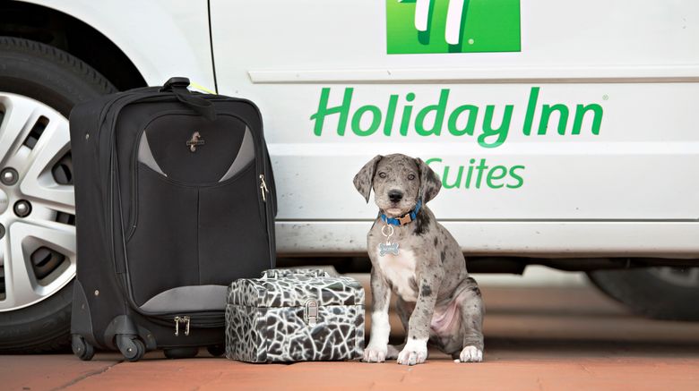 <b>Holiday Inn Hotel & Suites Airport Exterior</b>. Images powered by <a href="https://www.leonardoworldwide.com/" title="Leonardo Worldwide" target="_blank">Leonardo</a>.