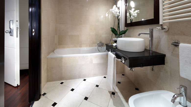 <b>Exe International Palace Room</b>. Images powered by <a href="https://www.leonardoworldwide.com/" title="Leonardo Worldwide" target="_blank">Leonardo</a>.