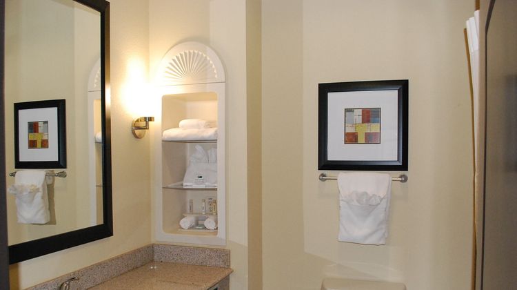 Holiday Inn Express & Stes Houston South Room