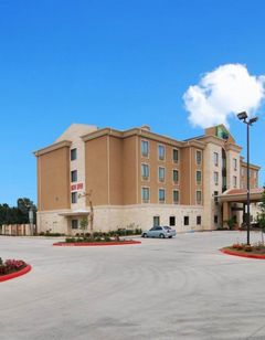 Holiday Inn Express & Stes Houston South