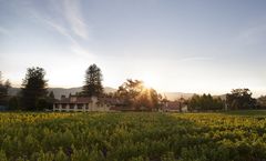 Napa Valley Lodge