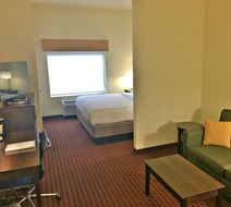 Holiday Inn Express & Suites Room