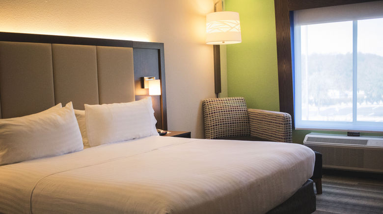 <b>Holiday Inn Express & Suites I-26 Room</b>. Images powered by <a href="https://www.leonardoworldwide.com/" title="Leonardo Worldwide" target="_blank">Leonardo</a>.
