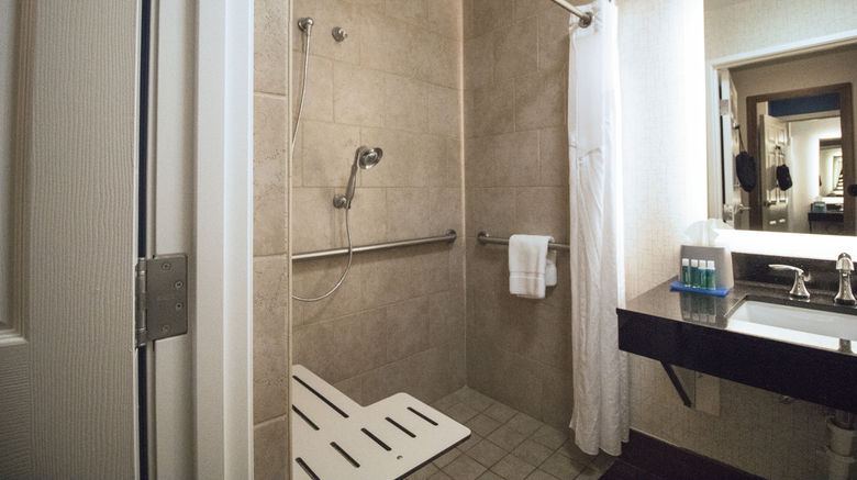 <b>Holiday Inn Express & Suites I-26 Room</b>. Images powered by <a href="https://www.leonardoworldwide.com/" title="Leonardo Worldwide" target="_blank">Leonardo</a>.