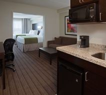 Holiday Inn Express Hotel and Suites Room