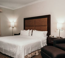 Holiday Inn Durango Room