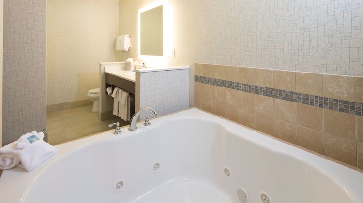 Holiday Inn Express & Suites La Porte Suite