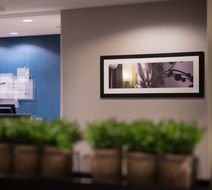 Holiday Inn Express/Stes Bakersfield Arp Lobby