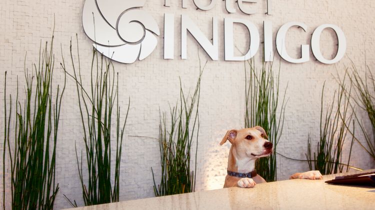 Hotel Indigo San Diego-Gaslamp Quarter Lobby