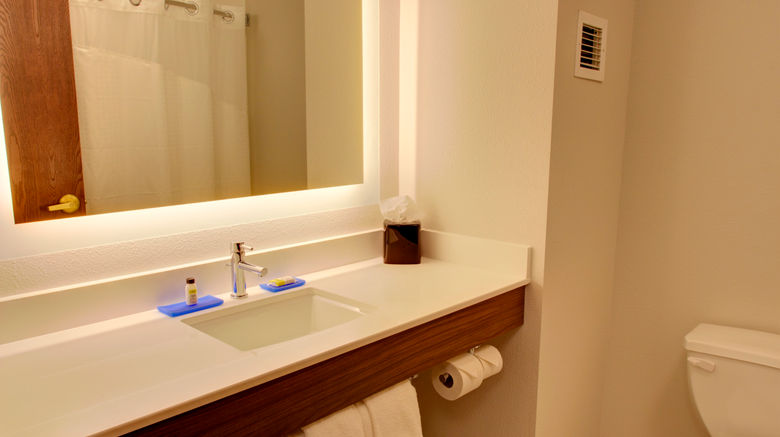 <b>Holiday Inn Express and Suites Room</b>. Images powered by <a href="https://www.leonardoworldwide.com/" title="Leonardo Worldwide" target="_blank">Leonardo</a>.