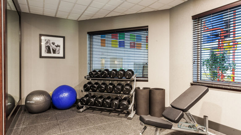 <b>Holiday Inn Express & Suites Rapid City Health Club</b>. Images powered by <a href="https://www.leonardoworldwide.com/" title="Leonardo Worldwide" target="_blank">Leonardo</a>.