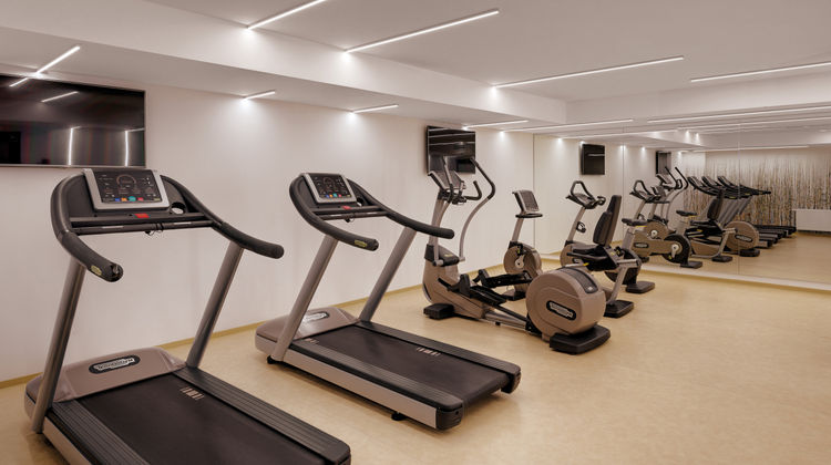 Holiday Inn Frankfurt Alte Oper Health Club