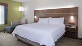 <b>Holiday Inn Express & Suites King George Room</b>. Images powered by <a href="https://www.leonardoworldwide.com/" title="Leonardo Worldwide" target="_blank">Leonardo</a>.
