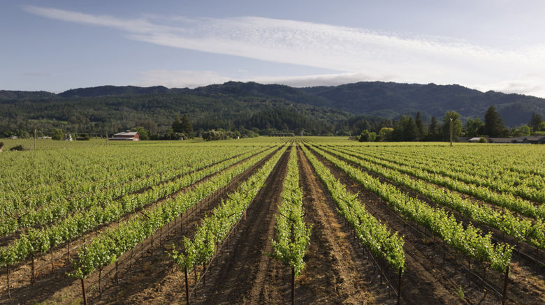 <b>Harvest Inn Napa Valley Room</b>. Images powered by <a href="https://www.leonardoworldwide.com/" title="Leonardo Worldwide" target="_blank">Leonardo</a>.