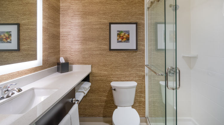 Holiday Inn Terre Haute Room