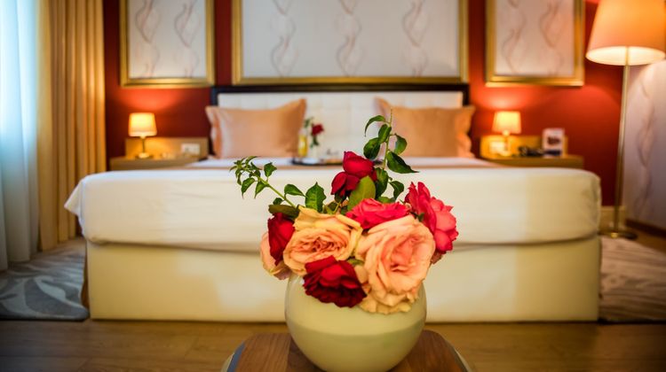 Tirana International Hotel & Conf Center Room