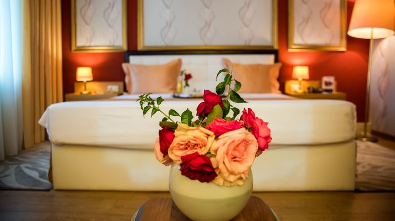 <b>Tirana International Hotel & Conf Center Room</b>. Images powered by <a href="https://www.leonardoworldwide.com/" title="Leonardo Worldwide" target="_blank">Leonardo</a>.