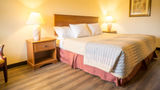 Sunnyside Inn & Suites Room