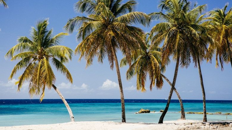 <b>The Liming Beach</b>. Images powered by <a href="https://www.leonardoworldwide.com/" title="Leonardo Worldwide" target="_blank">Leonardo</a>.