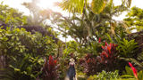 <b>Four Seasons Resort Hualalai Spa</b>. Images powered by <a href="https://www.leonardoworldwide.com/" title="Leonardo Worldwide" target="_blank">Leonardo</a>.