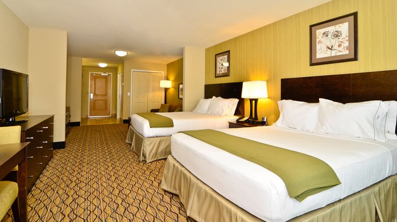 <b>Holiday Inn Express & Suites Room</b>. Images powered by <a href="https://www.leonardoworldwide.com/" title="Leonardo Worldwide" target="_blank">Leonardo</a>.